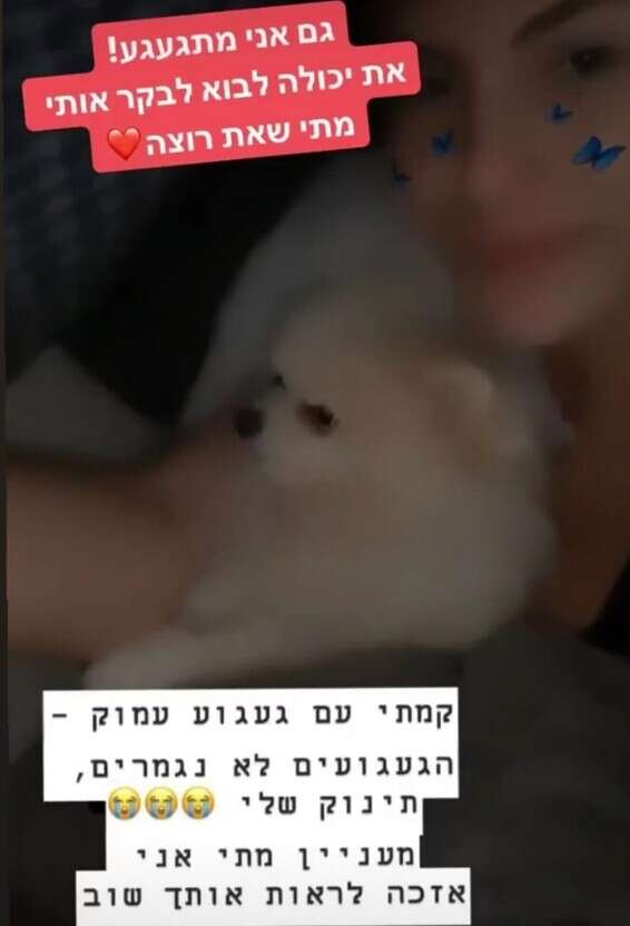 מתגעגעים // צילום מסך, מתוך האינסטגרם